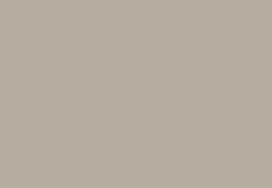 Taupe P'tit Rexa