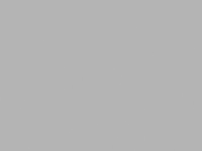 Shark gris Luce