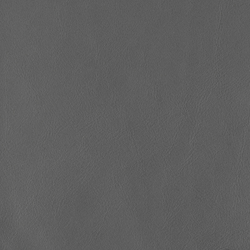 Gris foncé