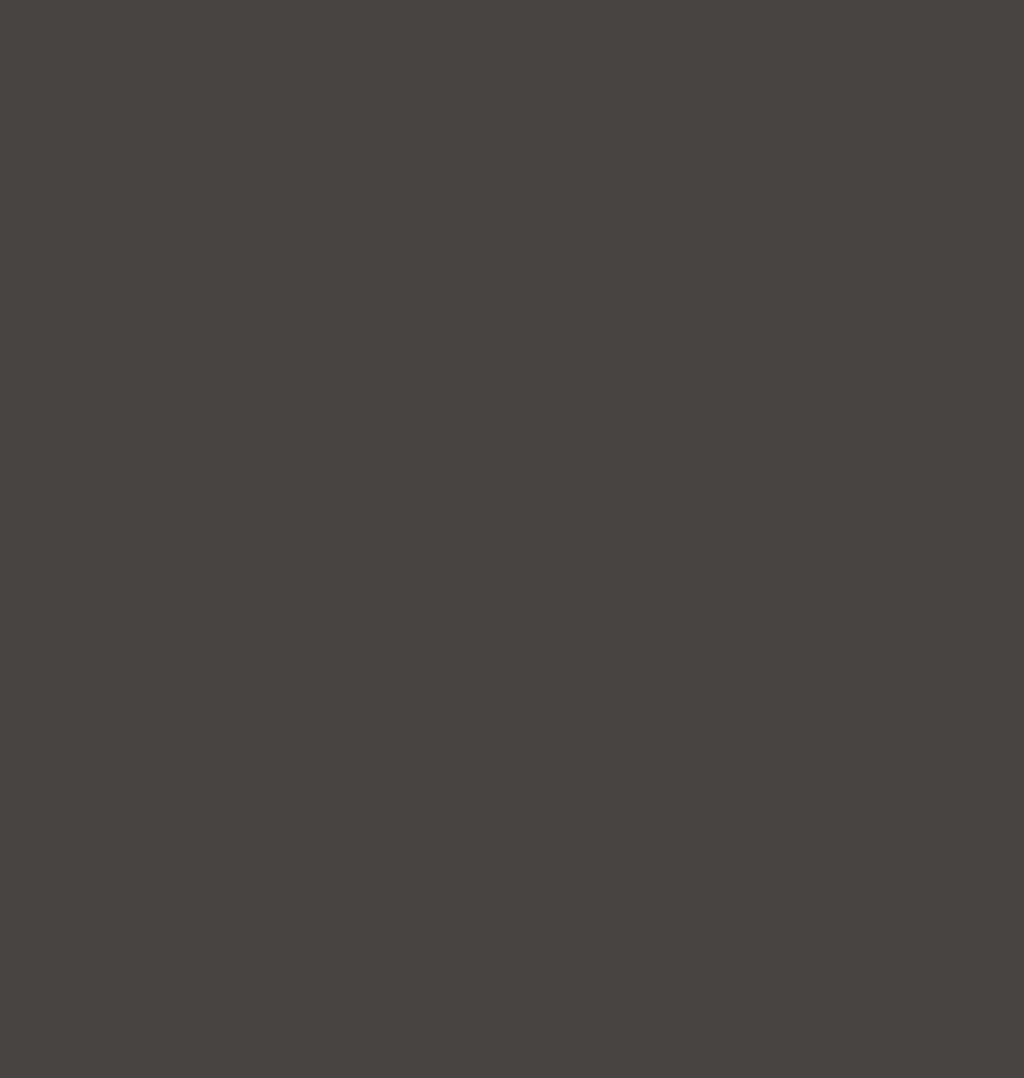 Gris antracite mat